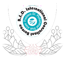 BSD Logo
