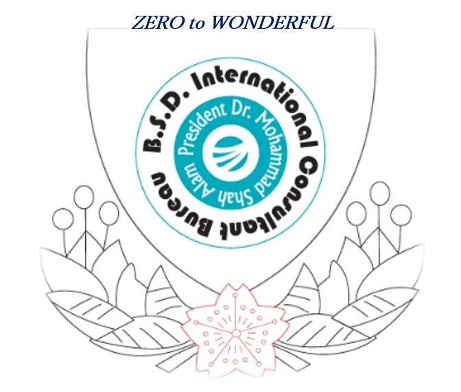 BSD International Consultant Bureau Logo